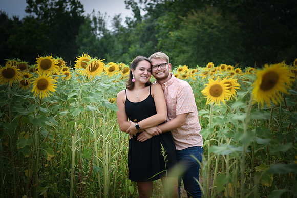 Sunflowers [margaret & drew] 005