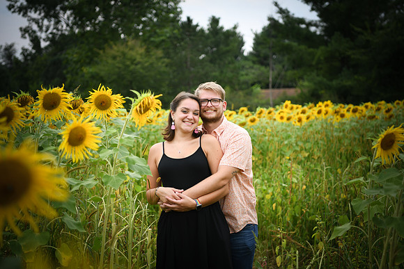 Sunflowers [margaret & drew] 011