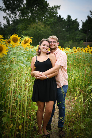Sunflowers [margaret & drew] 014