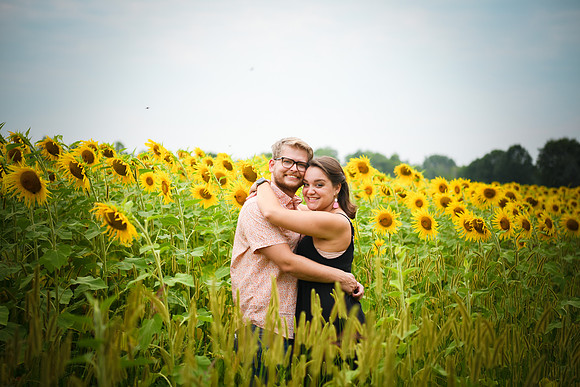 Sunflowers [margaret & drew] 020