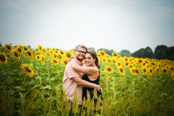 Sunflowers [margaret & drew] 021