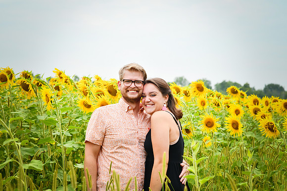 Sunflowers [margaret & drew] 022