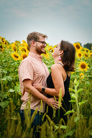 Sunflowers [margaret & drew] 024