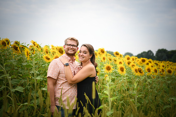 Sunflowers [margaret & drew] 025