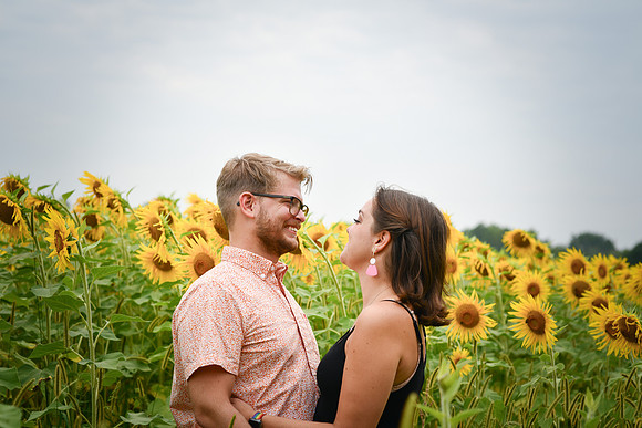 Sunflowers [margaret & drew] 027