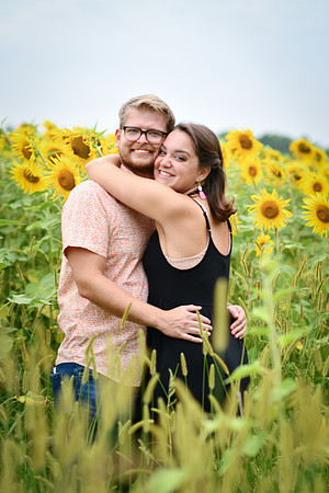 Sunflowers [margaret & drew] 035