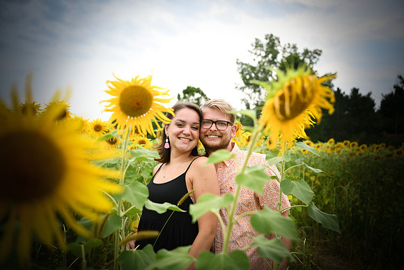 Sunflowers [margaret & drew] 040