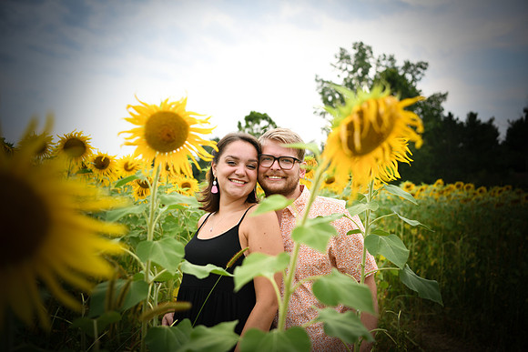 Sunflowers [margaret & drew] 041