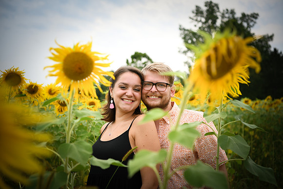 Sunflowers [margaret & drew] 042