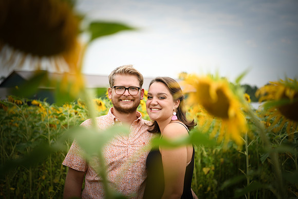 Sunflowers [margaret & drew] 049