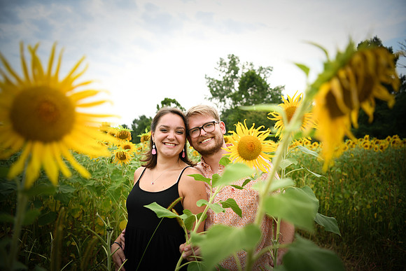 Sunflowers [margaret & drew] 048