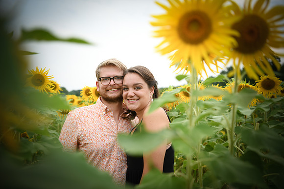 Sunflowers [margaret & drew] 050