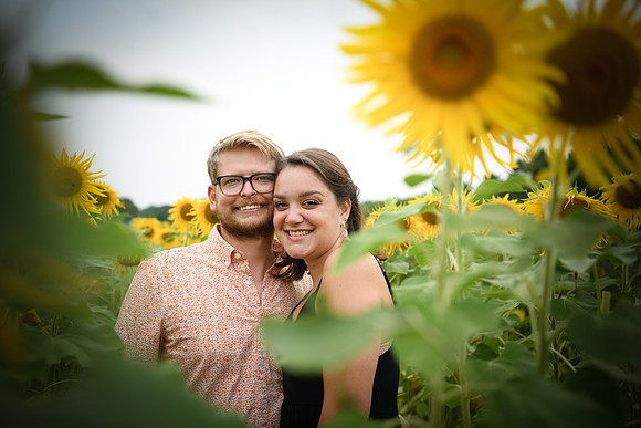 Sunflowers [margaret & drew] 051