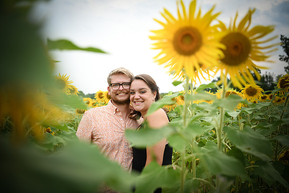 Sunflowers [margaret & drew] 052