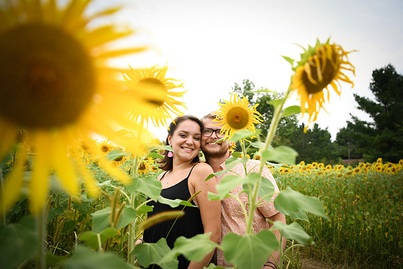 Sunflowers [margaret & drew] 053