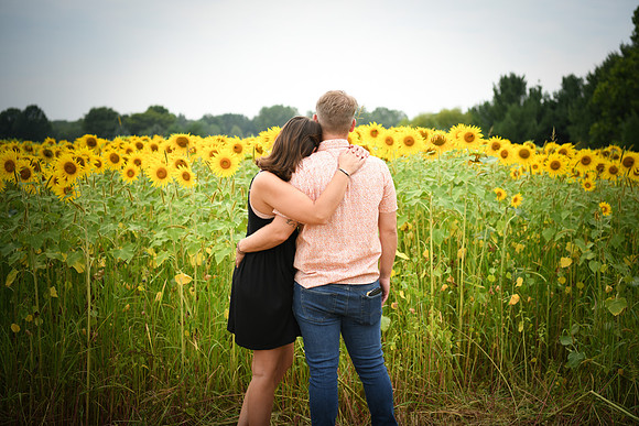 Sunflowers [margaret & drew] 127