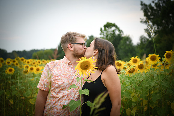 Sunflowers [margaret & drew] 144
