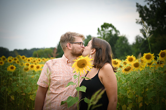 Sunflowers [margaret & drew] 145