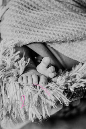 Amelia [newborn] images 024