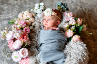 Amelia [newborn] images 005