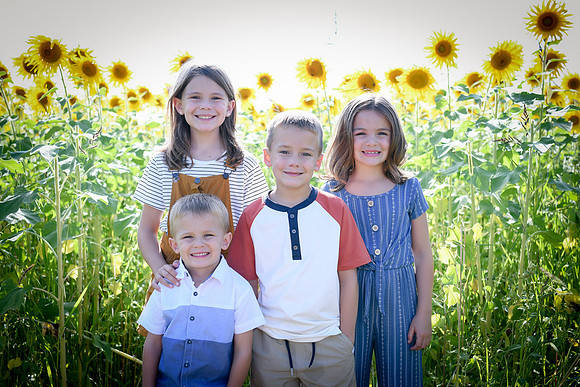 Sunflowers [Honsey] 05