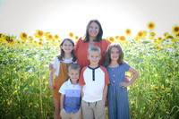 Sunflowers [Honsey] 36
