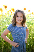 Sunflowers [Honsey] 50