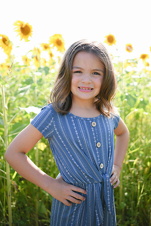 Sunflowers [Honsey] 50