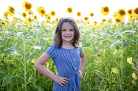 Sunflowers [Honsey] 48