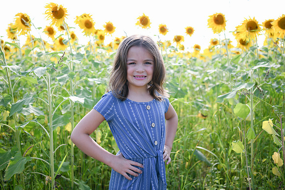 Sunflowers [Honsey] 48