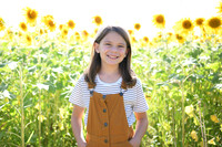 Sunflowers [Honsey] 55