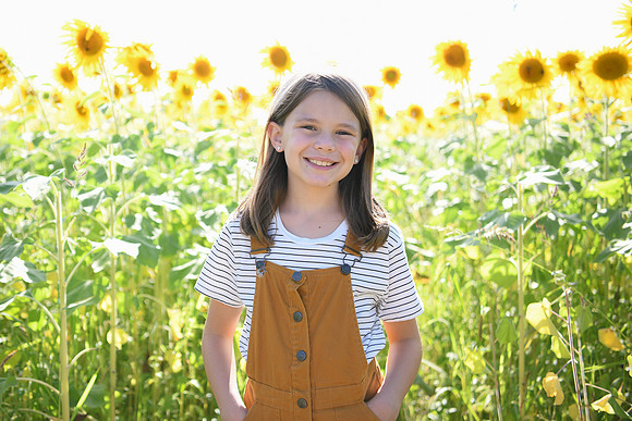 Sunflowers [Honsey] 55