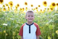 Sunflowers [Honsey] 79