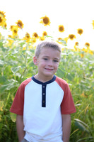 Sunflowers [Honsey] 78