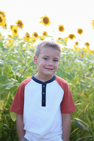 Sunflowers [Honsey] 78