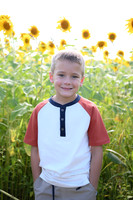 Sunflowers [Honsey] 82
