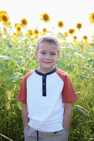 Sunflowers [Honsey] 82