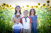 Sunflowers [Honsey] 05