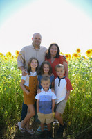 Sunflowers [Honsey] 11