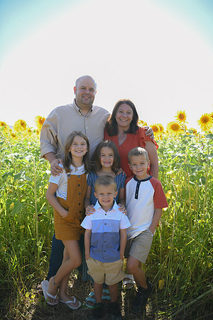 Sunflowers [Honsey] 11