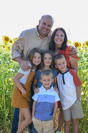 Sunflowers [Honsey] 26