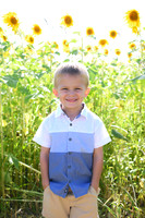 Sunflowers [Honsey] 68