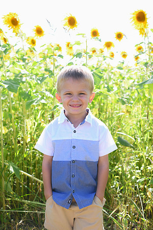 Sunflowers [Honsey] 68