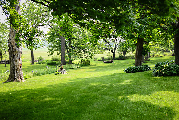 Carter & Marlah Wedding Photos [grounds] 045
