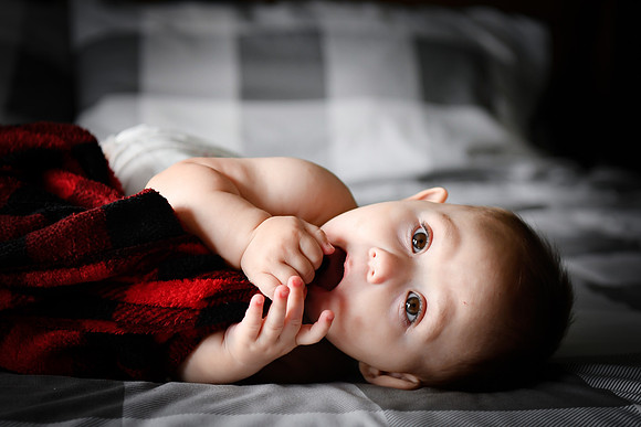 hudson [8 months] 065