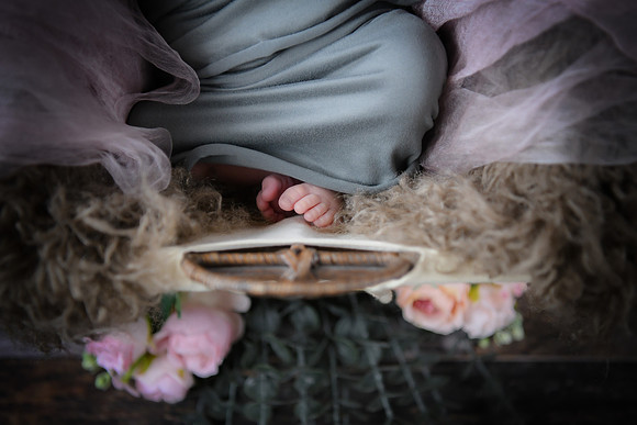 amelia [newborn] 11