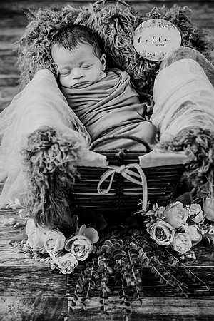 amelia [newborn] 15
