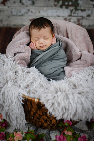 amelia [newborn] 29