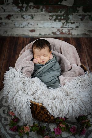 amelia [newborn] 42