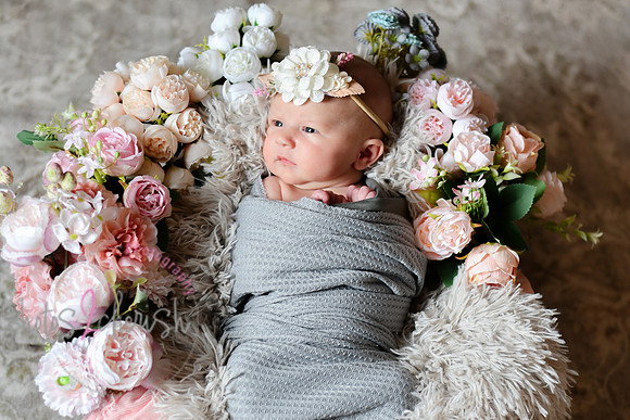Amelia [newborn] images 002